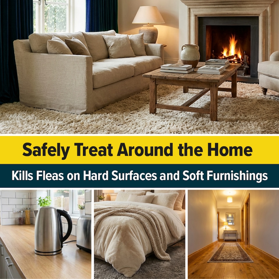 image 1 of NOPE CP Ant Killer Spray (5L & Sprayer) Effective Ant Control - Fast-Acting, Long-Lasting for Indoor & Outdoor use.