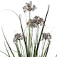 image 2 of 95cm Artificial Grass Plant Potted with Flower Detail