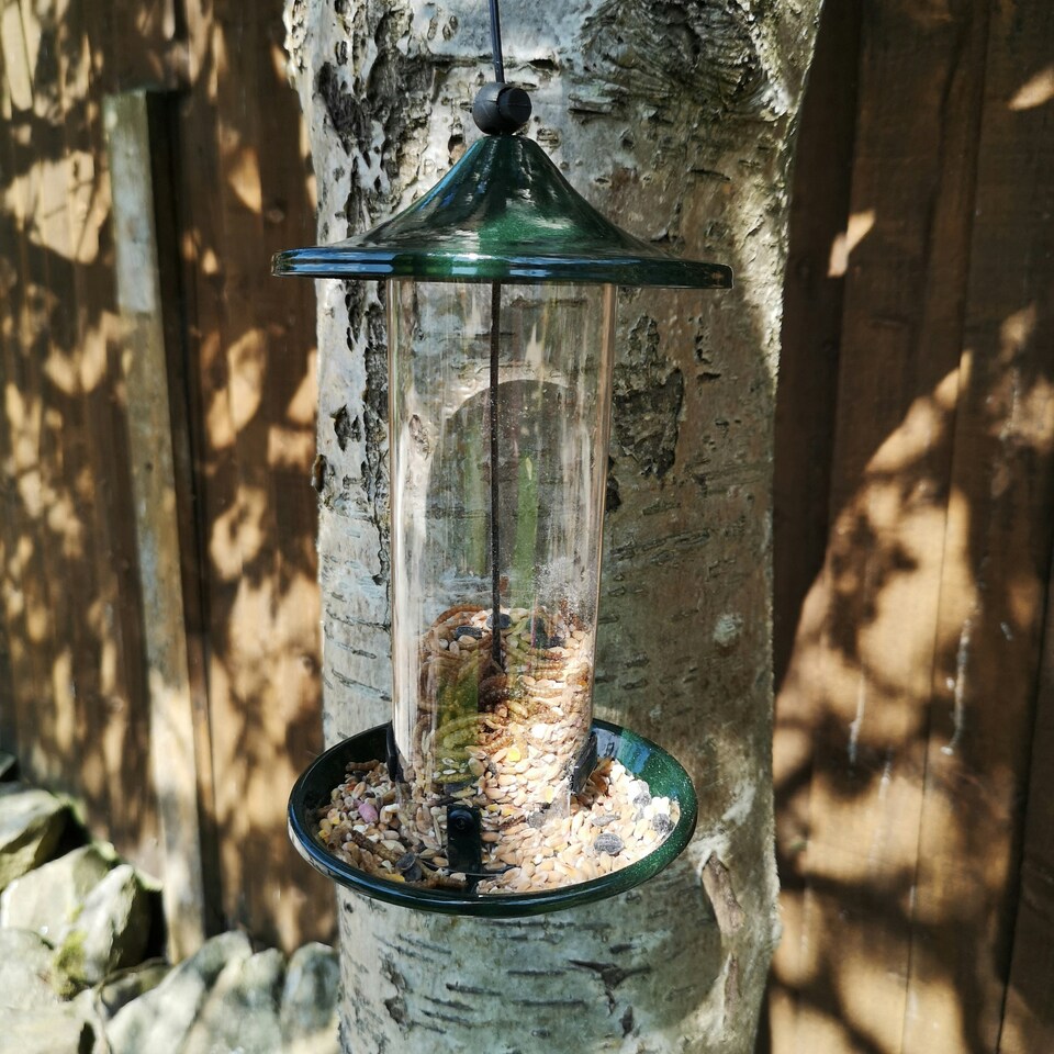 image 1 of Tom Chambers Oriental Stylish Garden Wild Bird Hanging Green Metal Mealworm Feeder