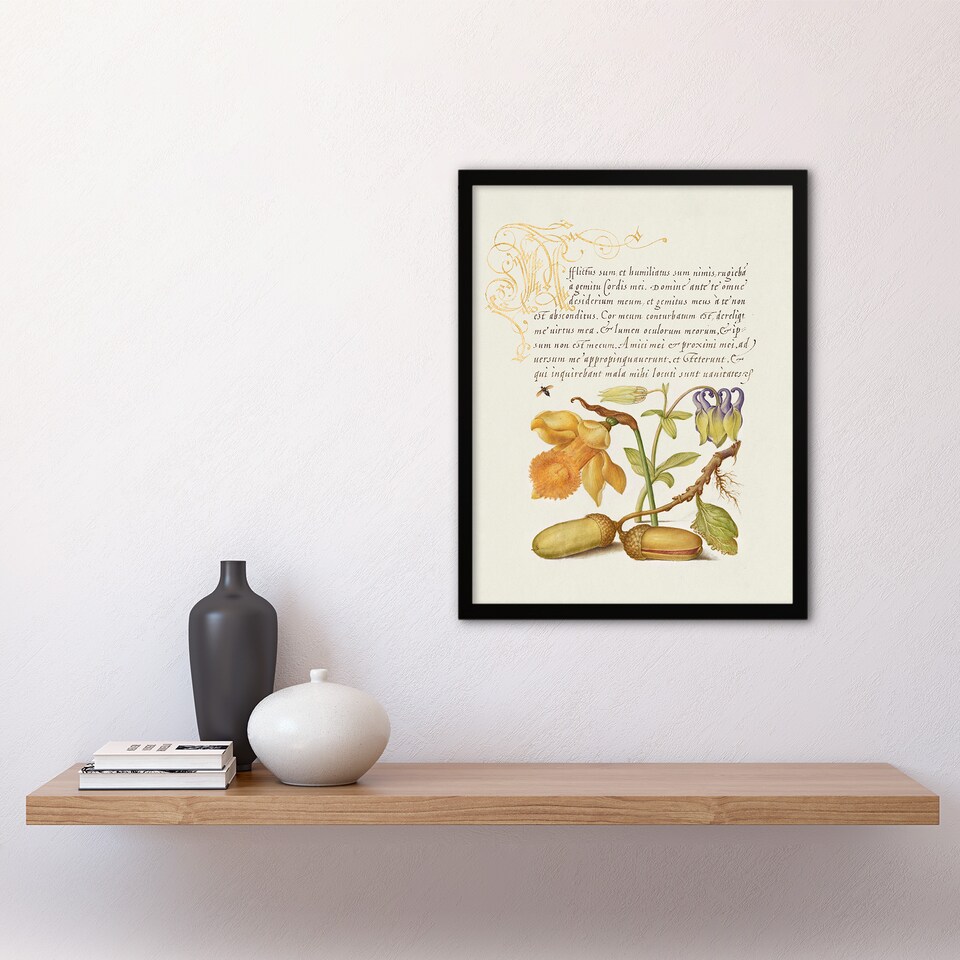 image 1 of Model Book of Calligraphy Framed Wall Art Daffodil Flower and Oak Acorns