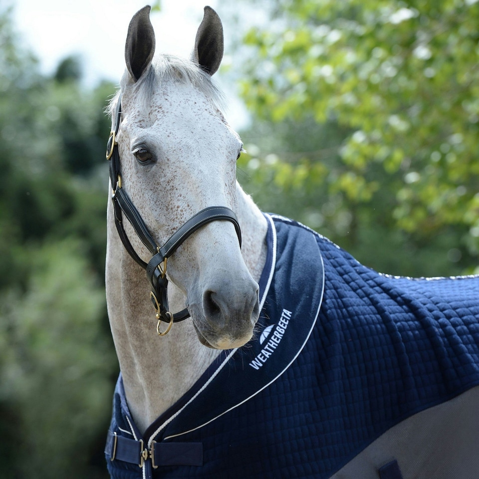 image 1 of Weatherbeeta Thermo-Air Standard-Neck Horse Cooler Rug - Navy/Grey - 6´ 9"