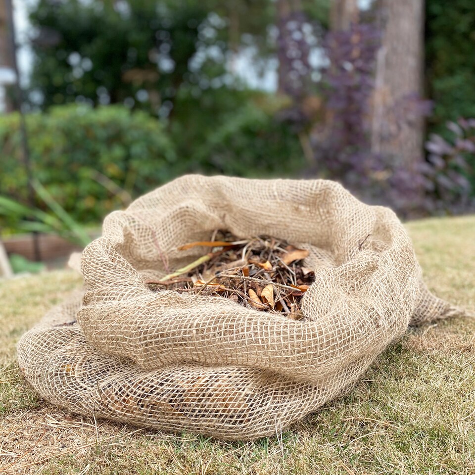 image 1 of Compostable Biodegradable Leaf Mould Sacks Bags - Pack of 30