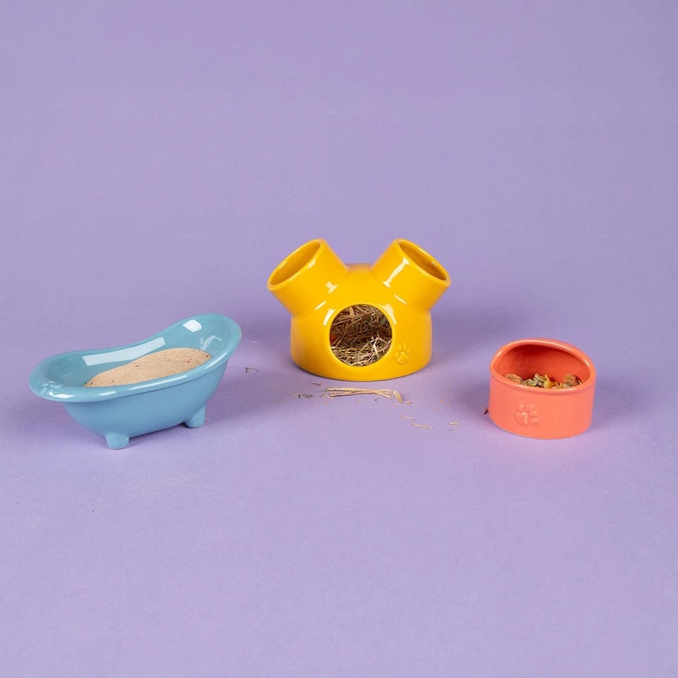 image 1 of Scruffs Small Pet Colours Ceramic Set - House, Sand Bath & Food Bowl