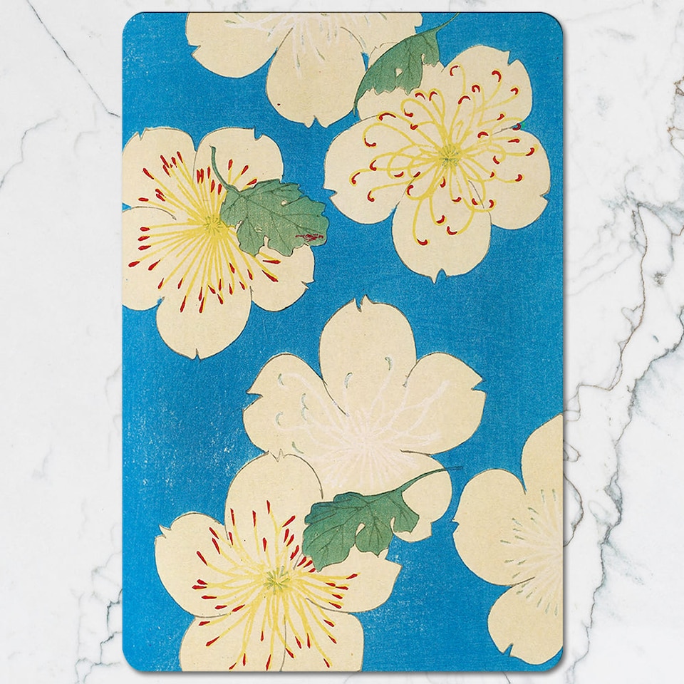 image 1 of Set Of 12 Placemats And Coasters With Designer Artwork And Wood Bottom