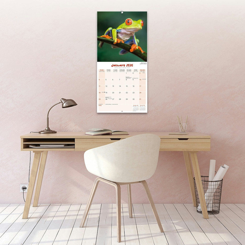 image 1 of Frogs 2026 Calendar | Square Wall Calendar | Reptile Gift | Plastic Free Packaging | by Avonside Publishing