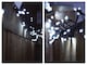 image 9 of Cluster Lights Black Rubber IP65 Cool White 45M