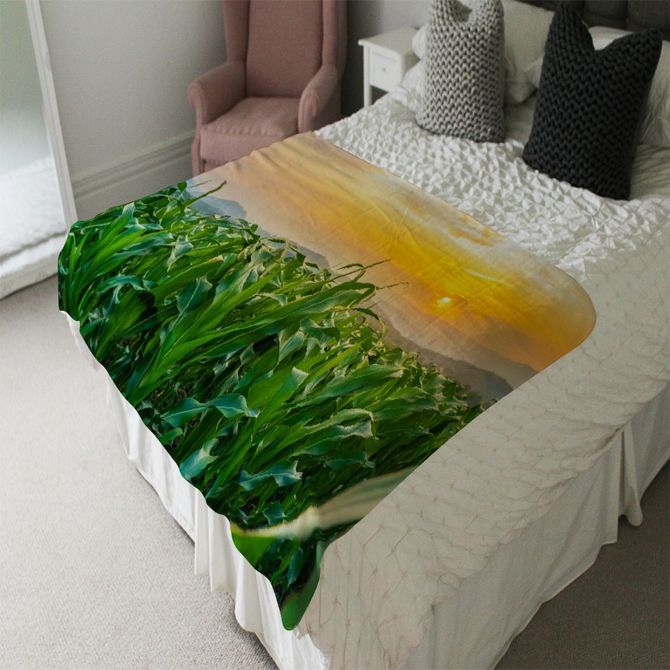 image 1 of green corn field in agricultural garden and light shines sunset (Blanket)