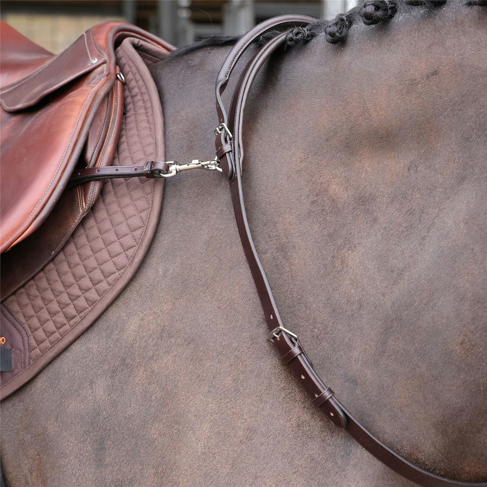 Shires Velociti GARA Neck Strap with Handle Brown | Size: Small
Colour: H.Brown