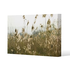 plumes Slimbridge (Canvas Print) 77 x 51 x 4cm