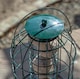 image 6 of Samuel Alexander Metal Hanging Bird Fat Ball Feeder with Squirrel Guard & Pack of 6 Suet Fat Balls