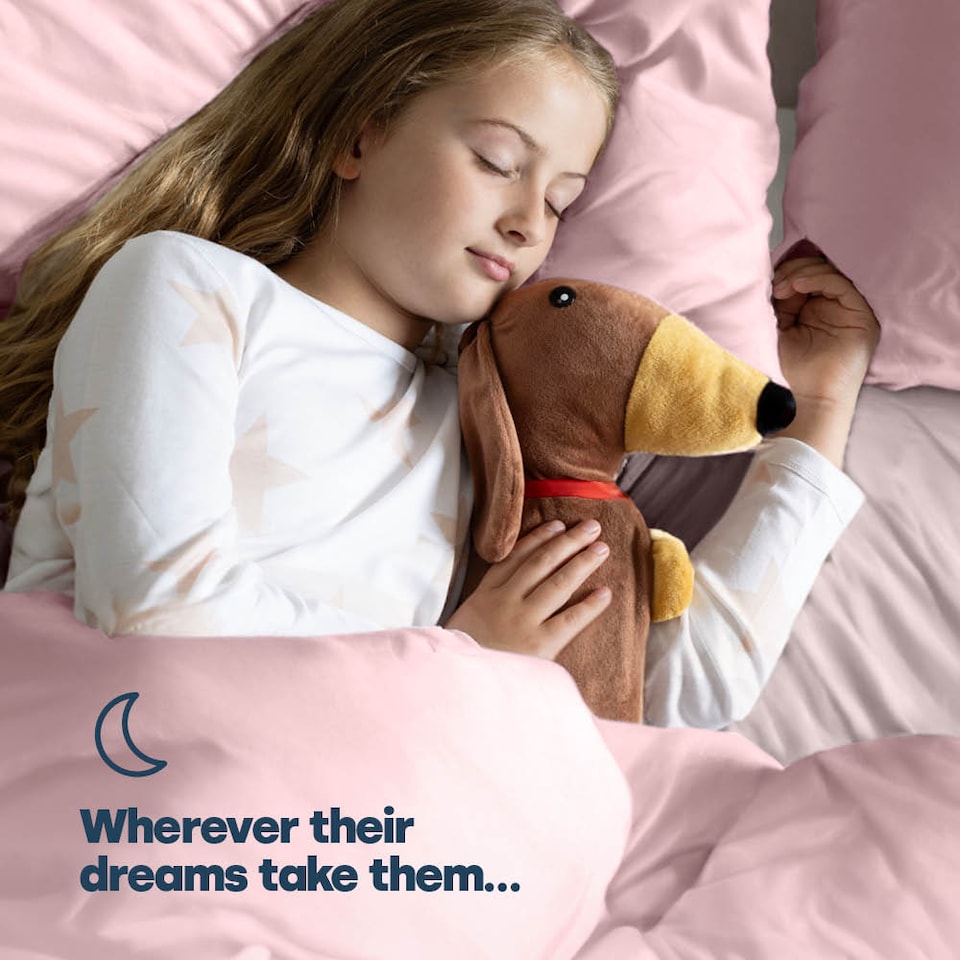 image 1 of Cuddly Dachshund Hot Water Bottle XL