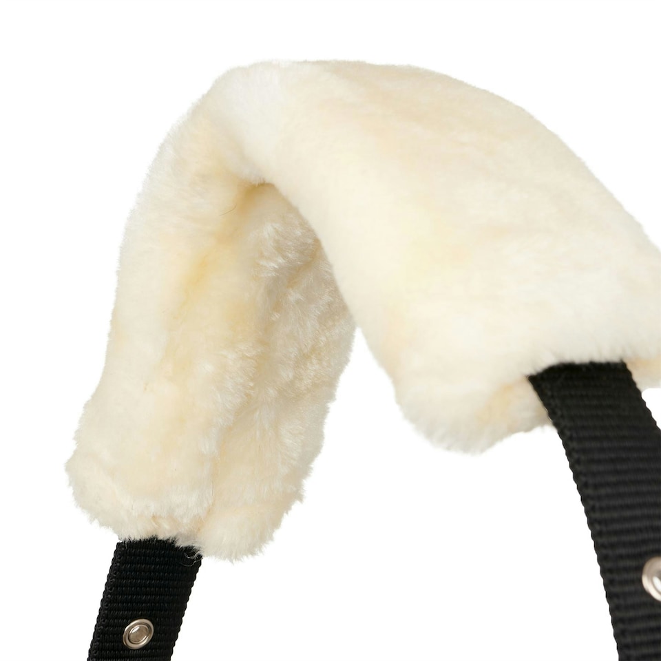 image 1 of LeMieux Comfort Headcollar Clear | Cob