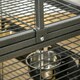 image 8 of PawHut Parrot Cage, Travel Carry Pet Bird Cage Cockatiel w/ Metal Handle