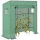 image 6 of Walk-in Garden Green House with Large Roll-up Door and 2 Mesh Windows, Green