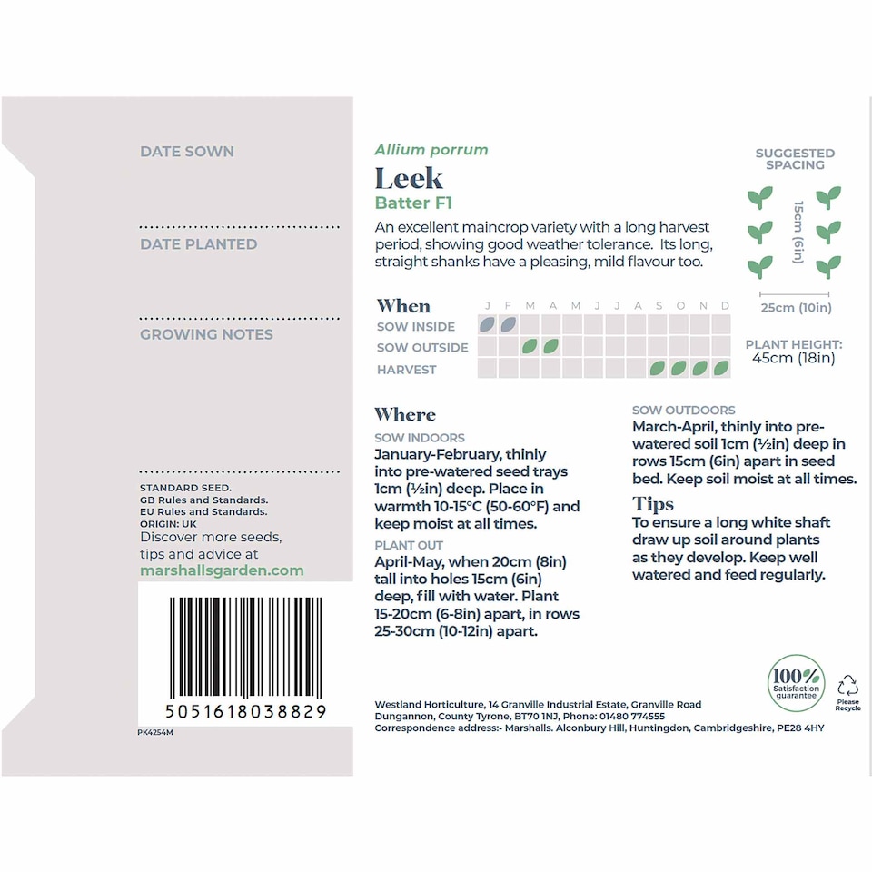 image 1 of Marshalls Garden Leek Seeds 'Batter' F1 40 seeds
