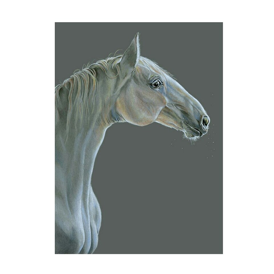 image 1 of Deckled Edge Eureka Card - The Grey - One Size