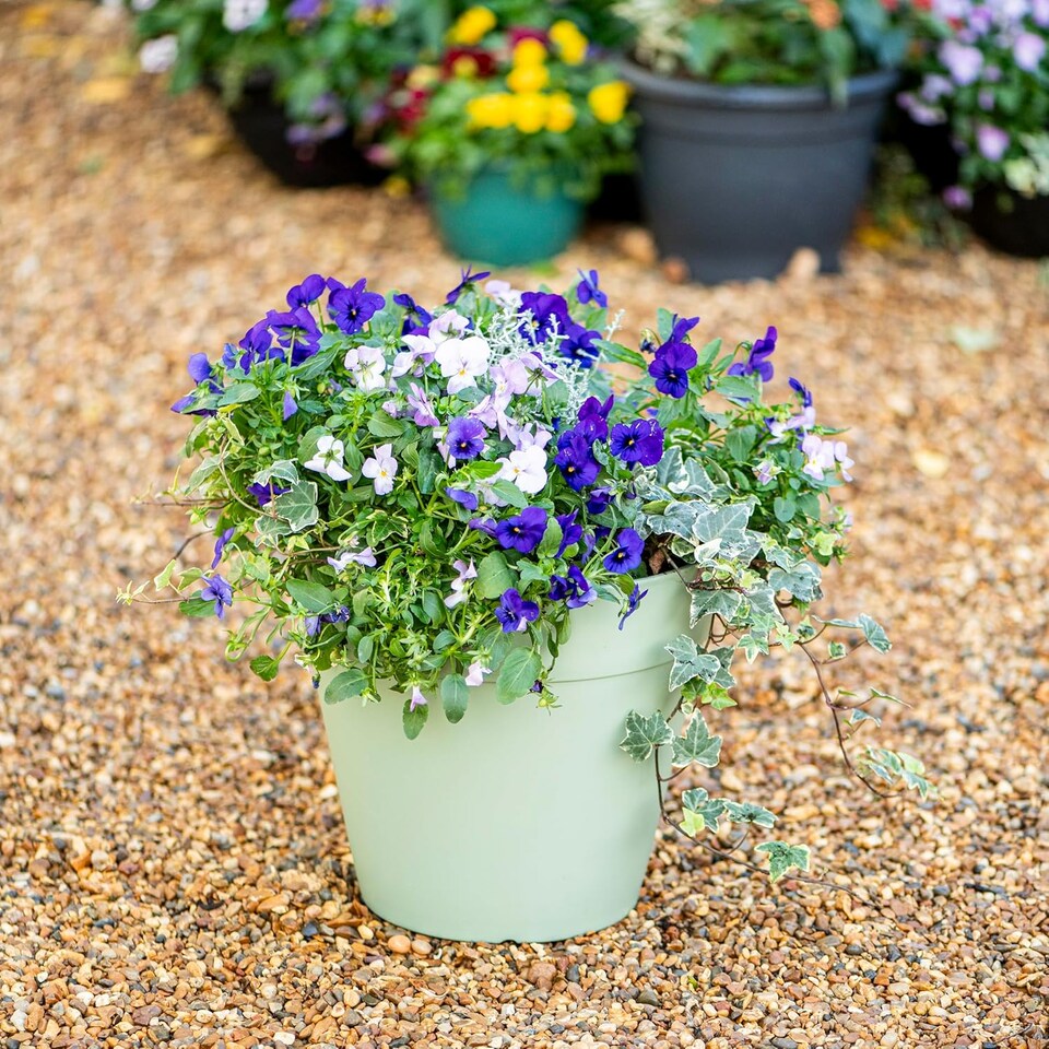 image 1 of Lucena Matte Finish Pot Laurel Green (D30 x H27cm) | Green | 1