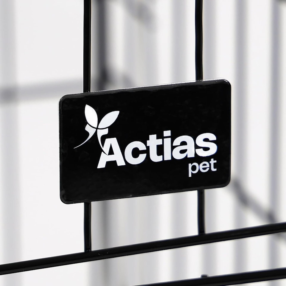 image 1 of Actiaspet Foldable Metal Dog Cage Crate with Tray Black Multiple Sizes (Black, Small)