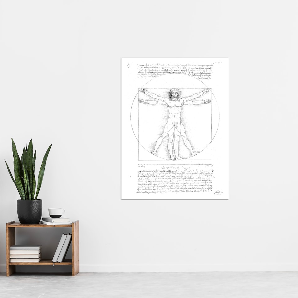 image 1 of Vitruvian Man Black and White da Vinci Vintage Huge Wall Art Poster Print 24X32"