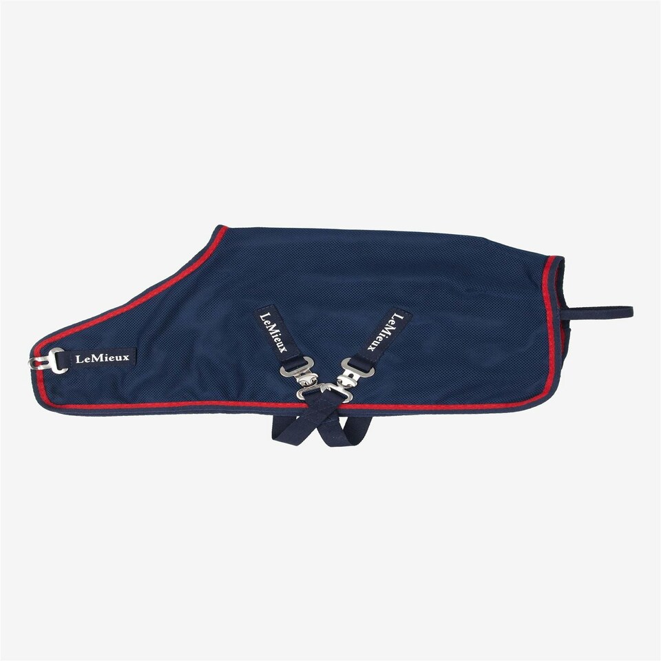 image 1 of LeMieux Toy Pony Mesh Cooler Blue