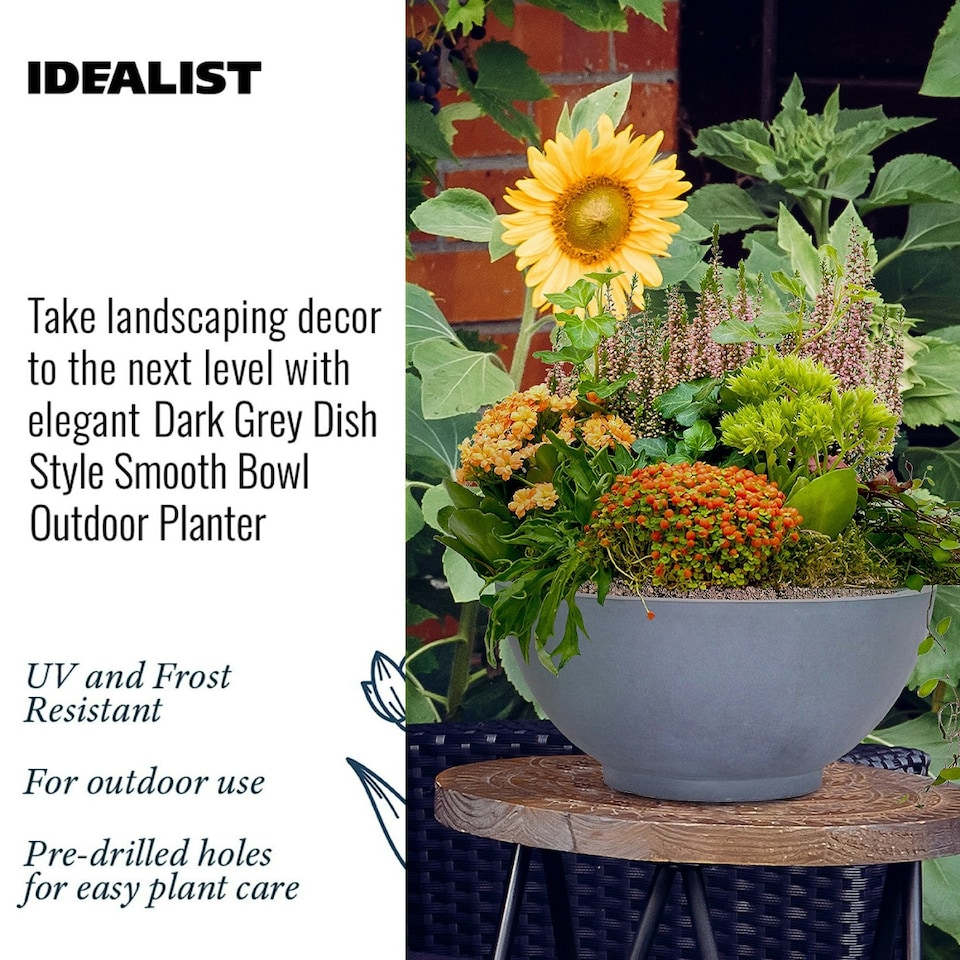 image 1 of Dark Grey Dish Style Smooth Bowl Outdoor Garden Planter D35.5 H16 cm, 15.8 ltrs Cap.