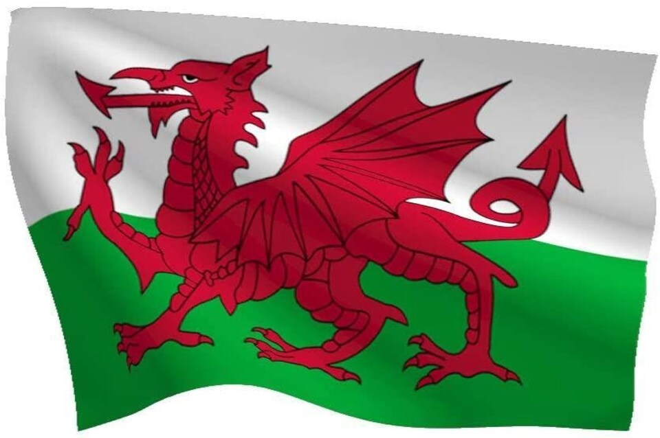 image 1 of 8 X 5ft Welsh National Flags Events Decorationsor | Multi