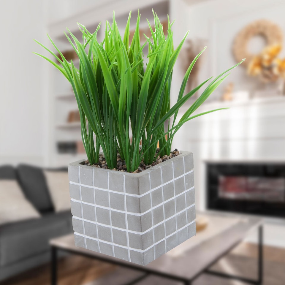 image 1 of PMS Artificial Succulent in Grey Cement Pot - 22 x 11 cm