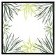 image 2 of Green leaf border (Picture Frame) White | XS