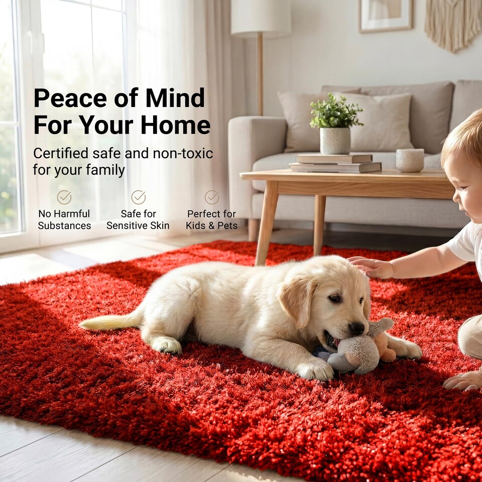 image 1 of Bargainia California Shaggy Rug Soft Pile Living Room