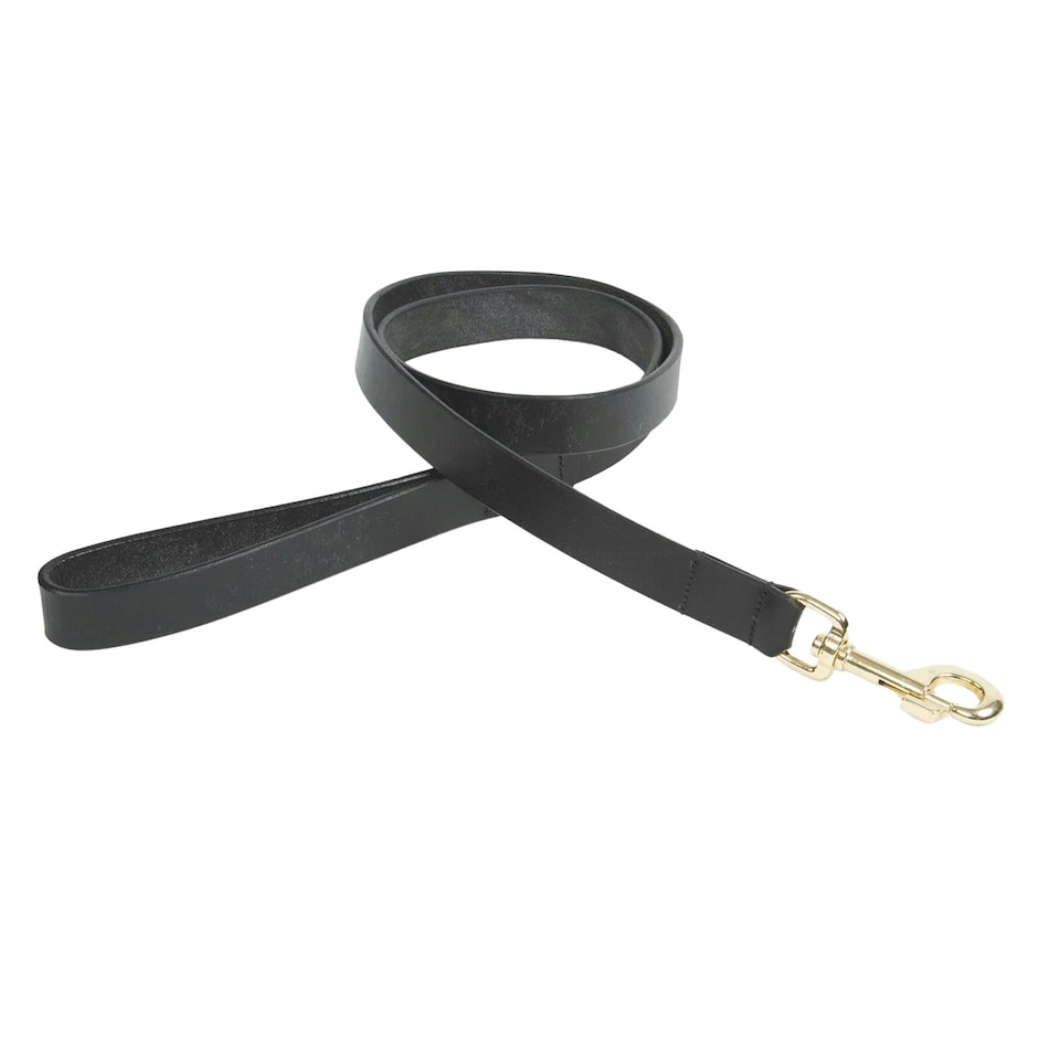 image 1 of Digby & Fox Flat Leather Dog Lead - Black - L