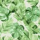 image 1 of NuWallpaper NU3670 Tortola Peel & Stick Wallpaper, Green Multi