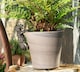 image 3 of Tiger Plant Pot Hanger - L11 x W6 x H5.5 cm | Bronze
