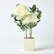 image 2 of Homescapes Cream Artificial Peonies in Decorative Cream Pot, 48 cm Tall