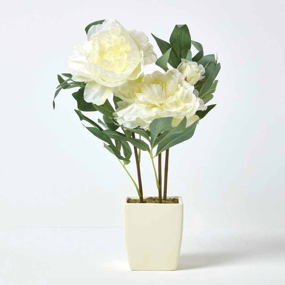 image 1 of Homescapes Cream Artificial Peonies in Decorative Cream Pot, 48 cm Tall