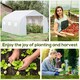 image 6 of Outsunny Walk-In Polytunnel Greenhouse w/ Roll Up Door Windows, 4.5x3x2 m White