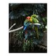 image 3 of Carol M Highsmith Colourful Sleeping Parrots Photo Framed Wall Art Print A3