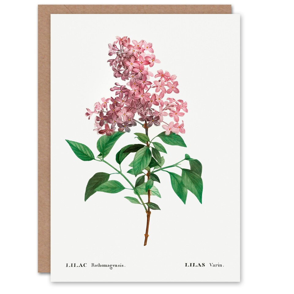 image 1 of Pierre-Joseph Redouté Art Card Chinese Lilac Vintage Floral