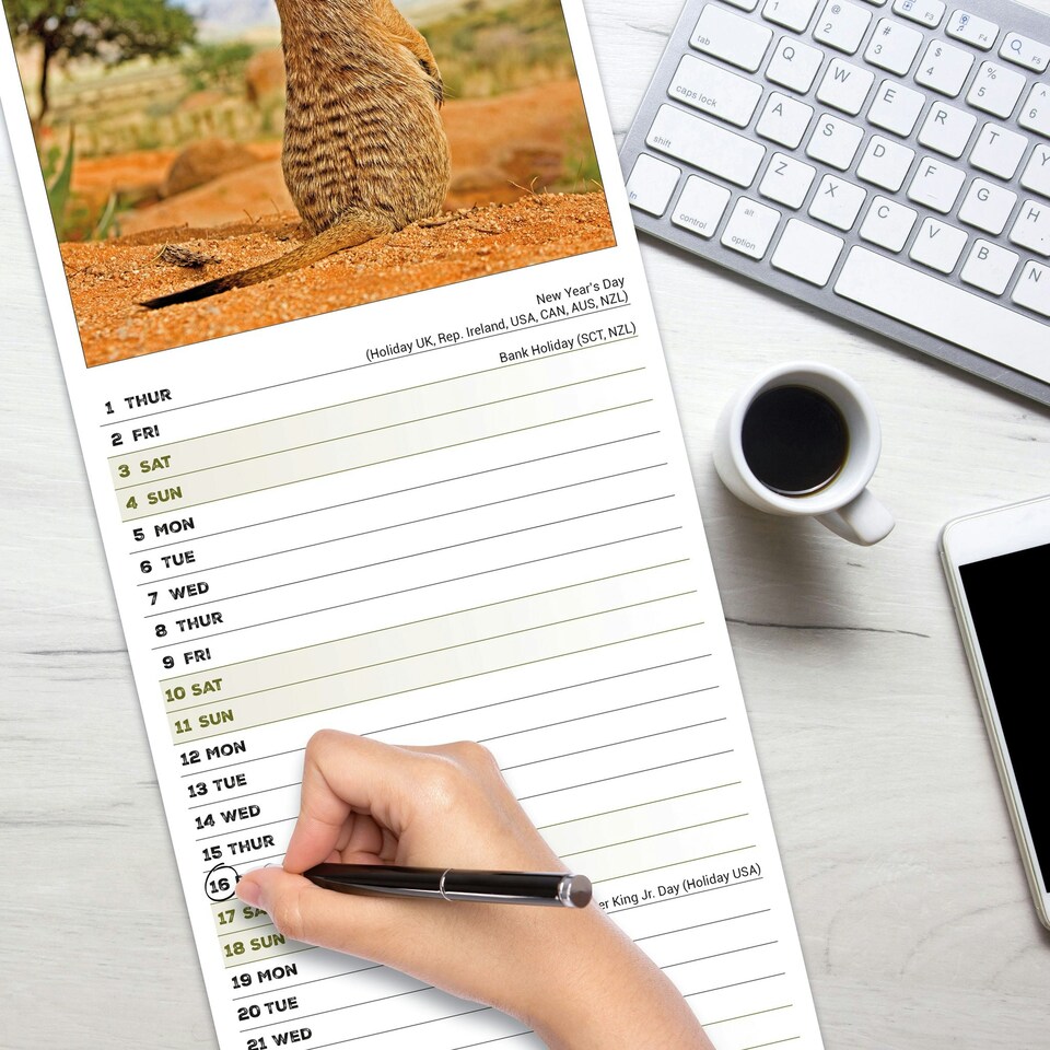 image 1 of Meerkats Slim 2026 Calendar | Slimline Wall Calendar | Animal Gift | Plastic Free Packaging | by Avonside Publishing [Calendar] Avonside Publishing Ltd