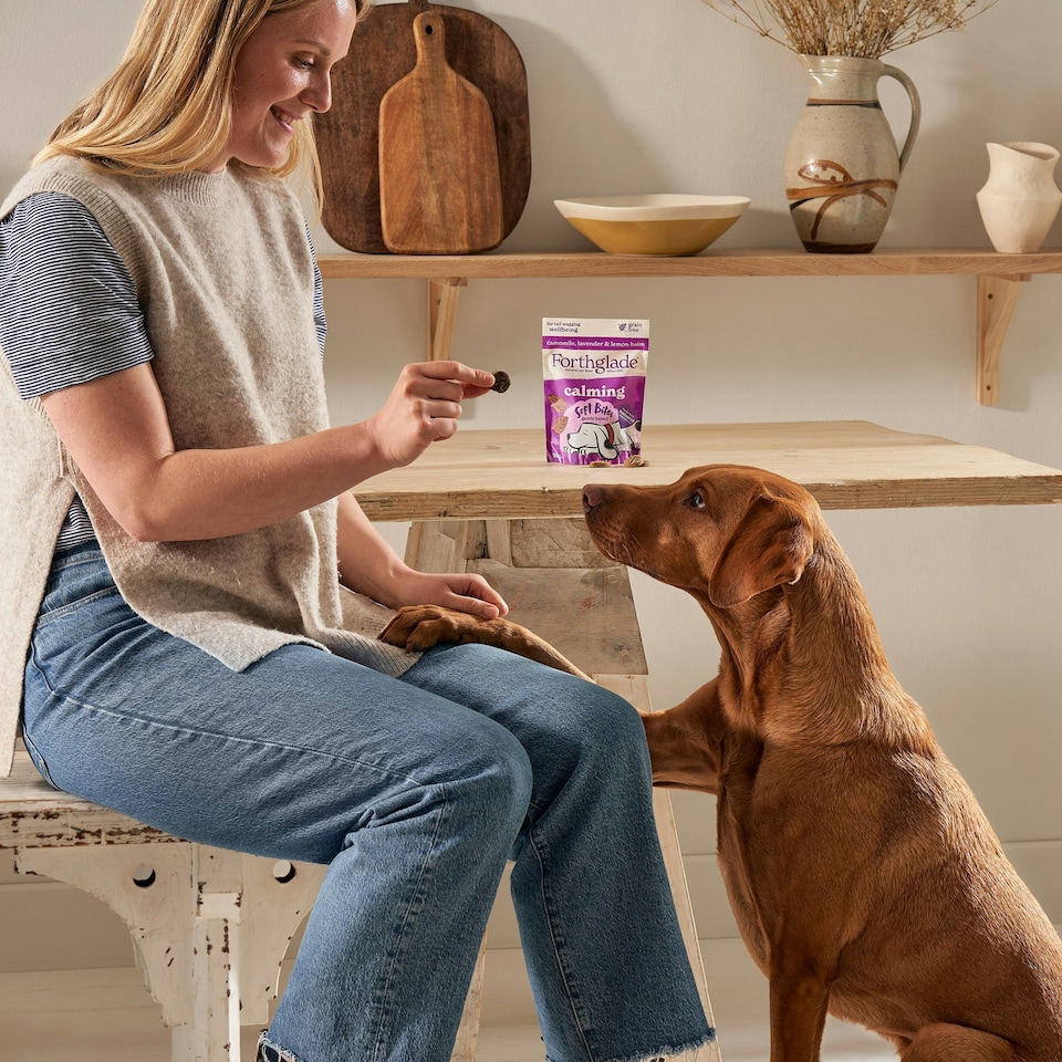 image 1 of Calming Dog Treats with Camomile & Lavender (8x90g)