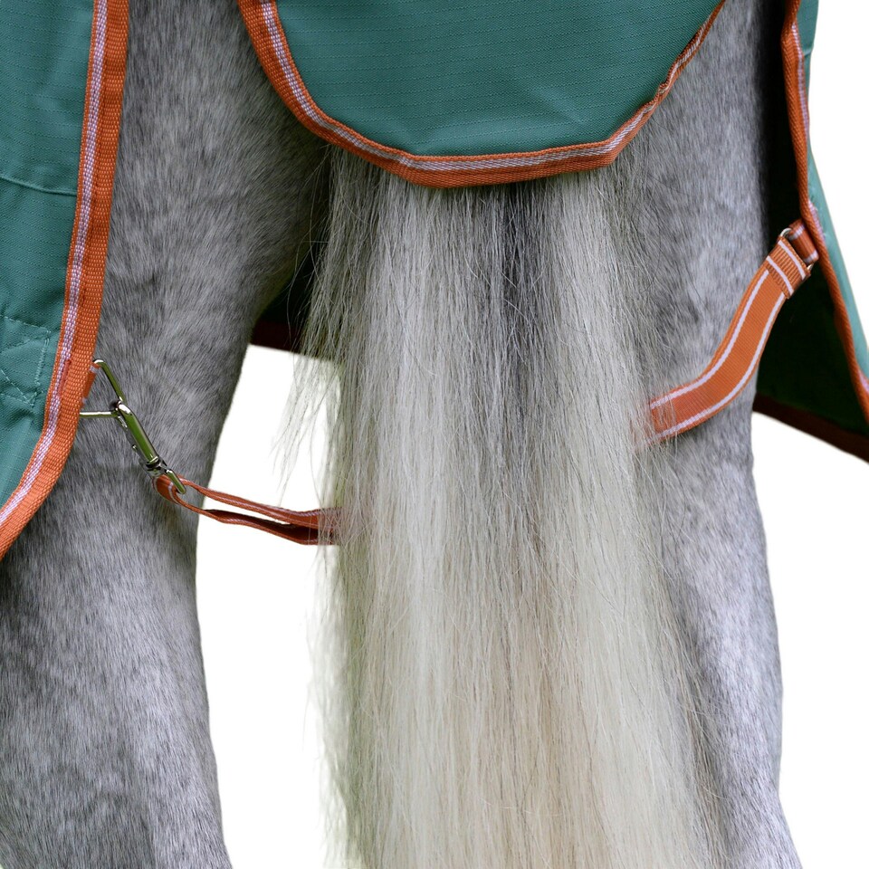 image 1 of Weatherbeeta Comfitec Tyro Plus Standard-Neck Lightweight Horse Rug - Green/Burn Orange/White - 4´ 3"