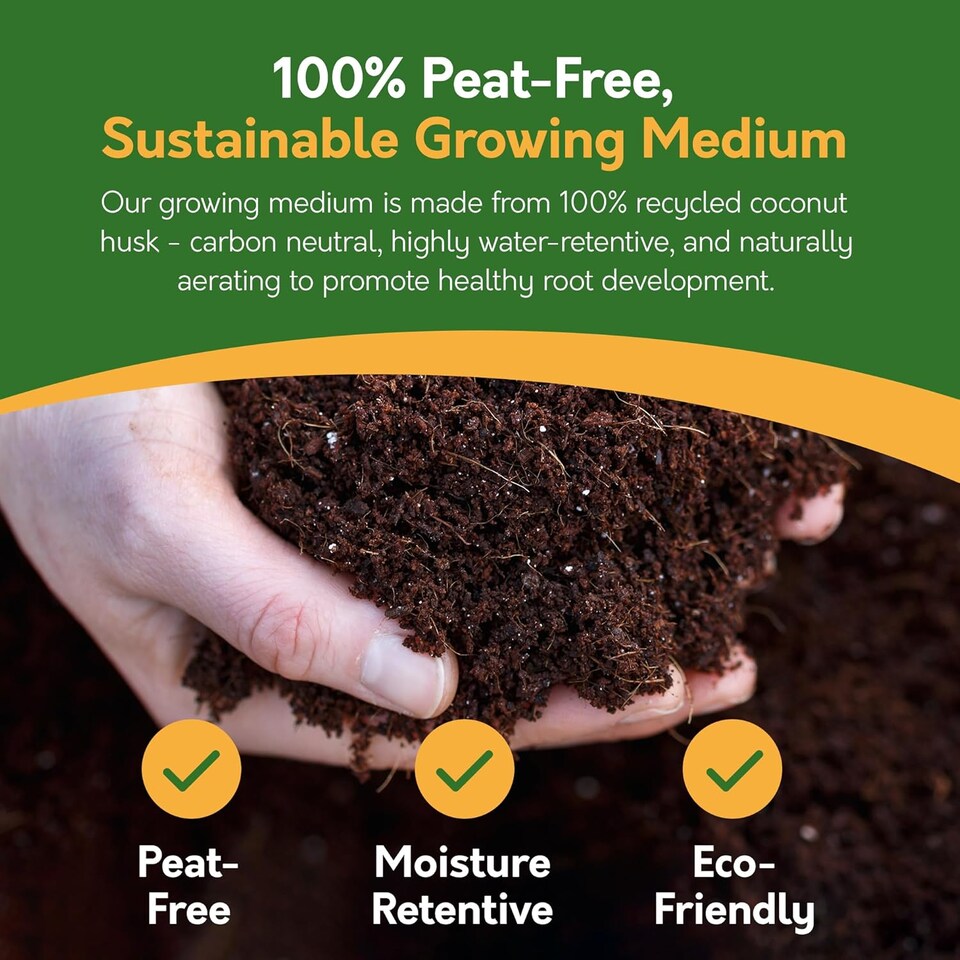 image 1 of Pronto Seed Grow Your Own Cactus Flower Seed Kit - 5 Succulent Varieties - A Low Maintenance Gift That Lasts | Multi | Cactus | 1