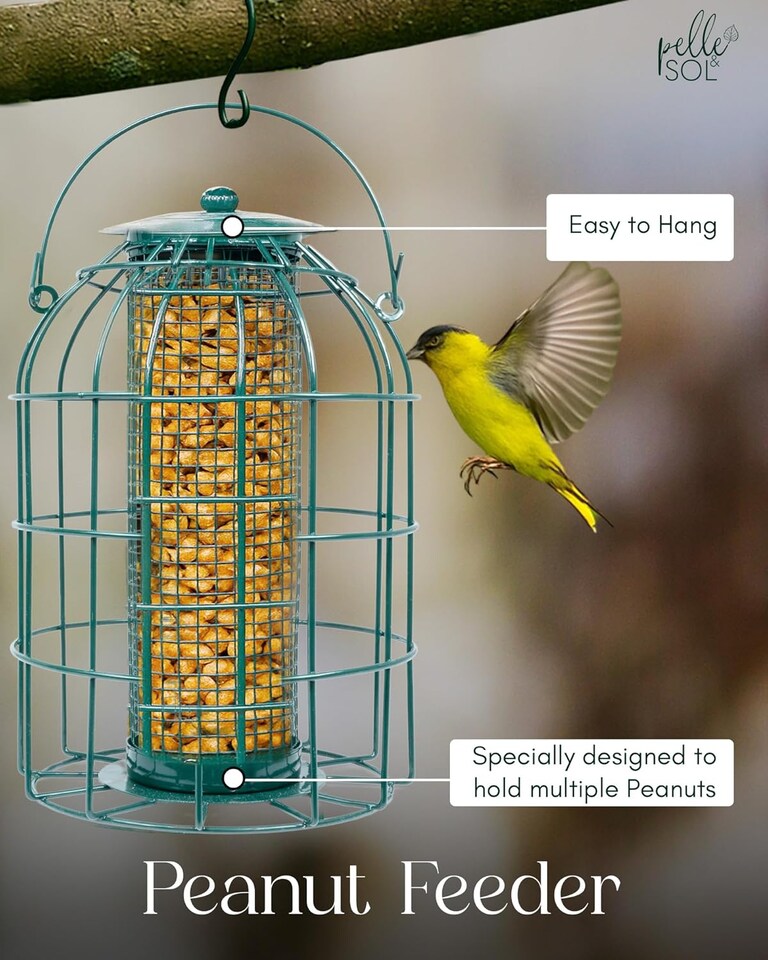 image 1 of Pelle & Sol Peanut Bird Feeder Squirrel Proof