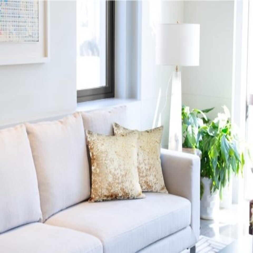 image 1 of Crushed Velvet Cushion Cover 43cm x 43cm Taupe Brown | Natural