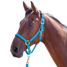 Shires Topaz Nylon Horse Headcollar - Blue - Full