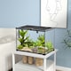 image 7 of PawHut Glass Reptile Terrarium Habitats for Lizards, Frogs, Snake 50 x 30 x 35cm