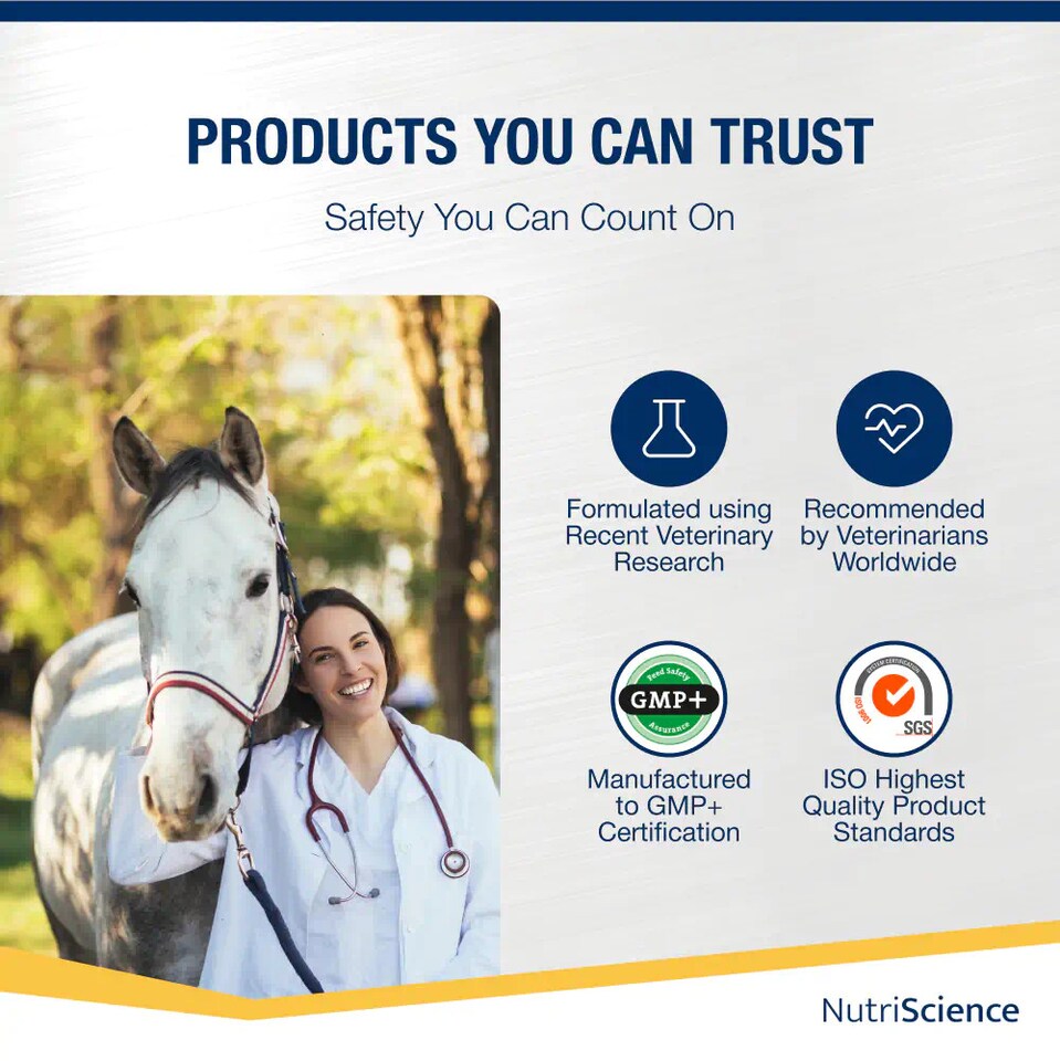 image 1 of NutriScience AnxiKalm Horse Calming Gel L Tryptophan Stress Relief Competition Supplement