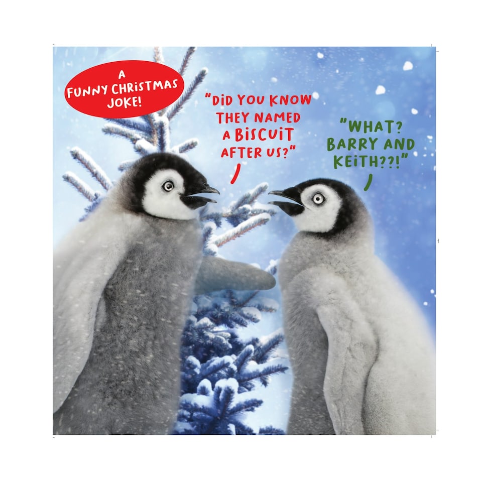 Virtual Safari Christmas Card, Penguins in the Forest, 16.3 x 16.3 cms, Multi-Coloured