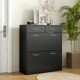 image 2 of HOMCOM Slim Shoe Cabinet with 2 Flip Drawers for 12 Pairs of Shoes Black 
