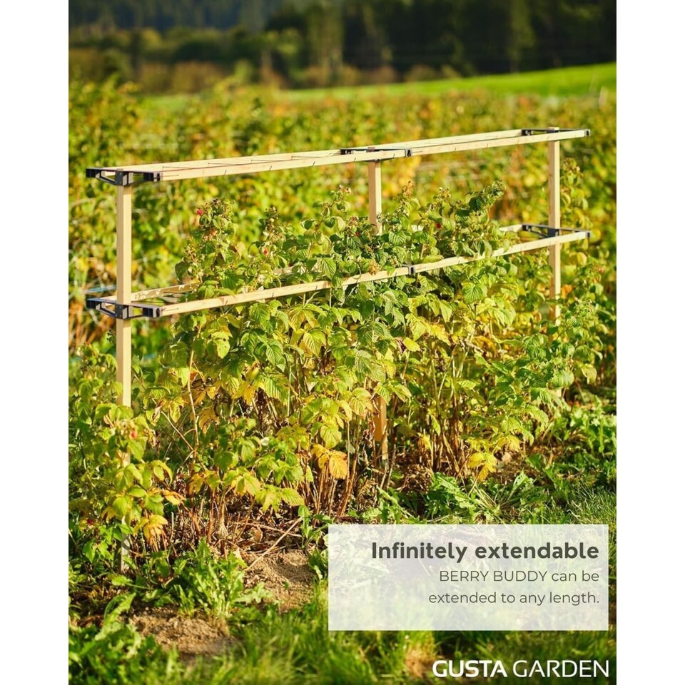 Berry String Trellis Gusta Garden Berry Buddy Flexible Trellis for Berries: Raspberries ...