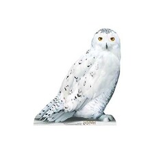 Hedwig Harry Potter Star Mini Cardboard Cutout 74cm